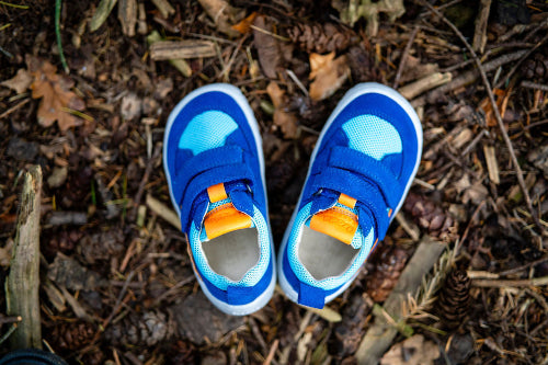 Froddo barefoot shoes nz